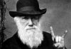 Δαρβίνος, Θεωρία της Εξέλιξης, σχολείο